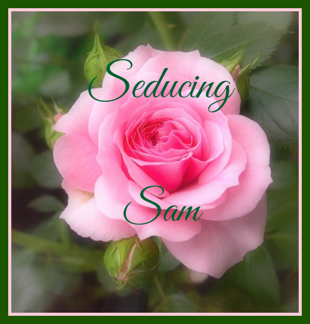 seducing sam